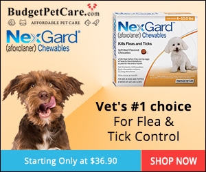 PET Health ( CJ )