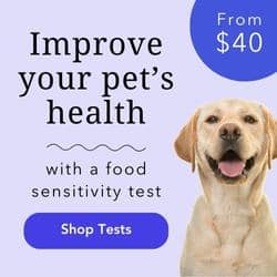 Pet Health ( IM )