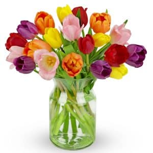Benchmark Bouquets - 20 Stem Rainbow Tulips (Glass Vase Included) - Fresh Flowers for Delivery - Gift for Graduation, Birthday, Anniversary, Sympathy, Get Well, Congratulations